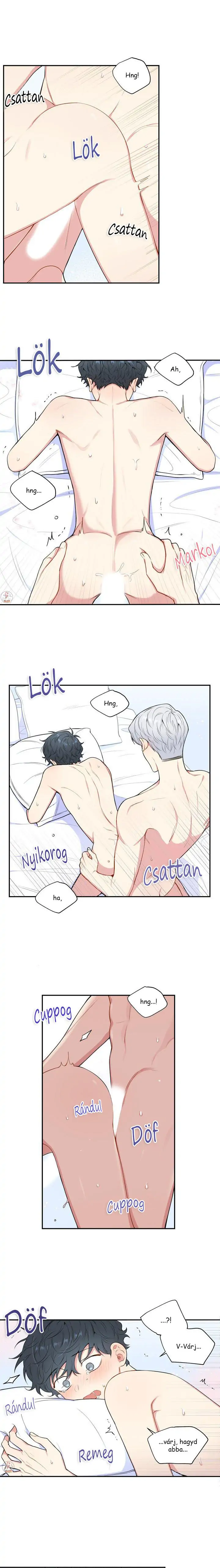 41736032 720 5120 151496